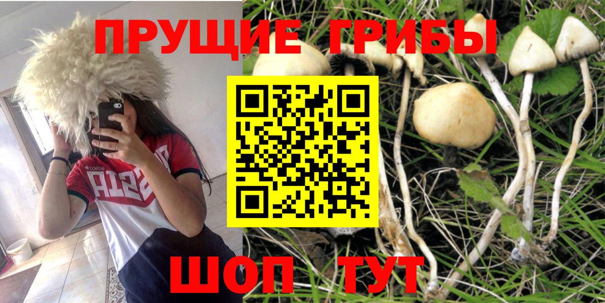 Кострома  Псилоцибиновые грибы Cubensis  Галлюциногенные грибы Psilocybe  Вход с VPN 